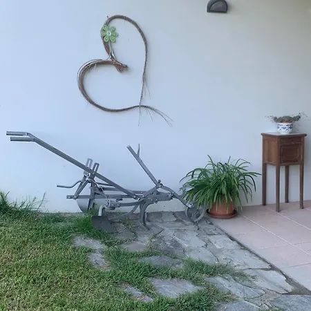 Il Gelso 'd La Costa *